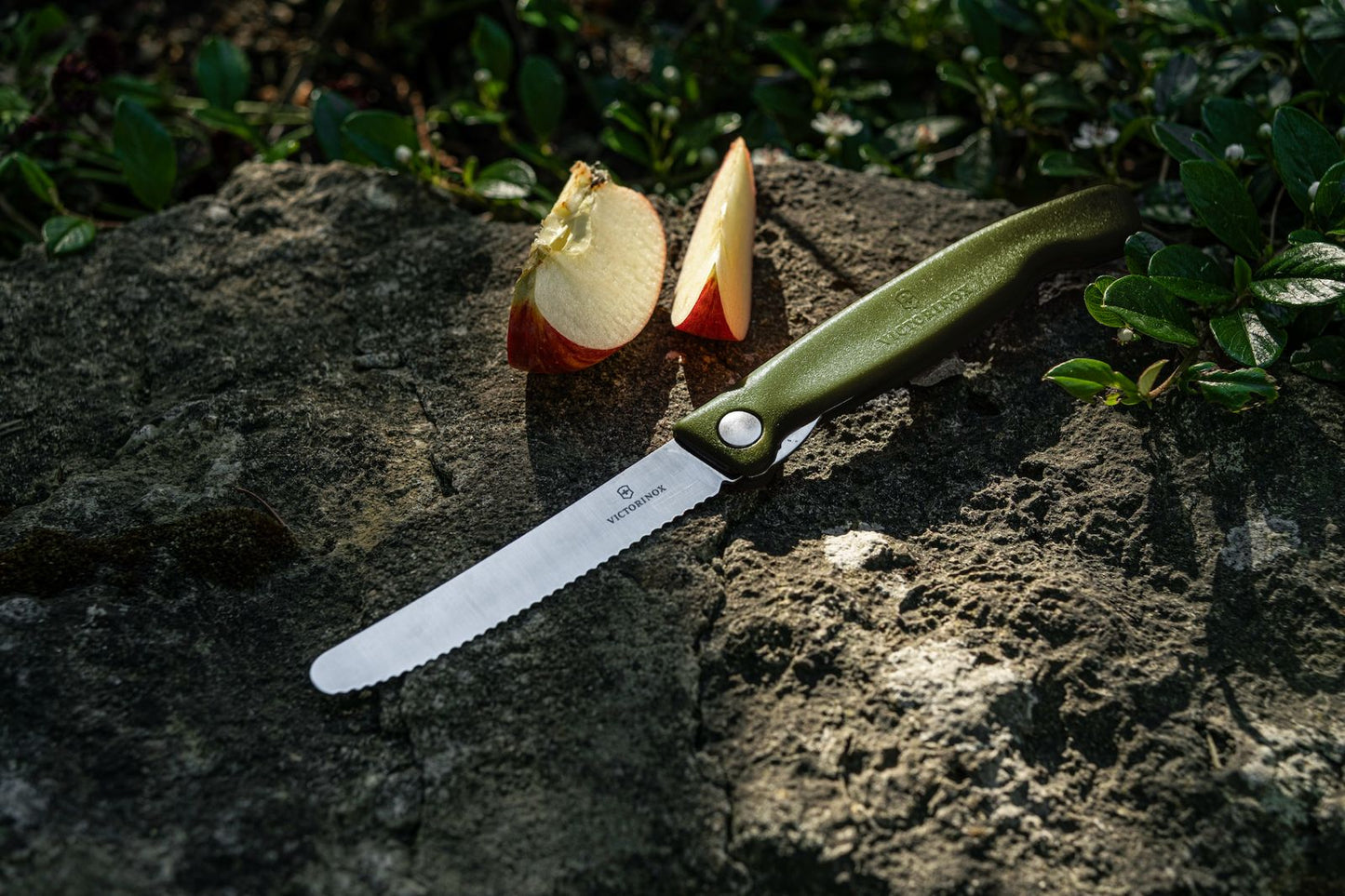 Victorinox - Faltbares Picknickmesser